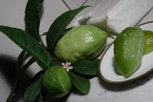 Il Cedro Liscio Diamante: Usi e Virtù Cedro Candito