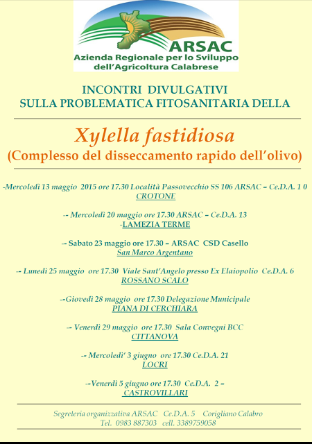 Xylella fastidiosa su olivo: incontri divulgativi dell'ARSAC Calabria.