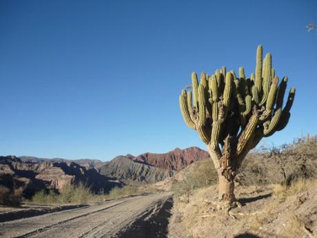 Tupiza, il far west boliviano