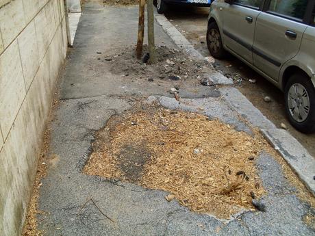 10 foto per non dimenticare come viene amministrata la città. Marciapiedi che non sembrano più tali. Alla Balduina secondo il Municipio va bene così