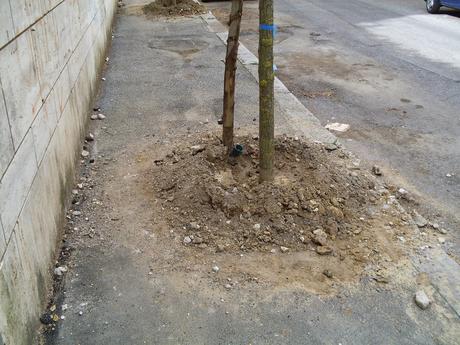 10 foto per non dimenticare come viene amministrata la città. Marciapiedi che non sembrano più tali. Alla Balduina secondo il Municipio va bene così