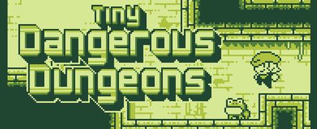 Tiny Dangerous Dungeons