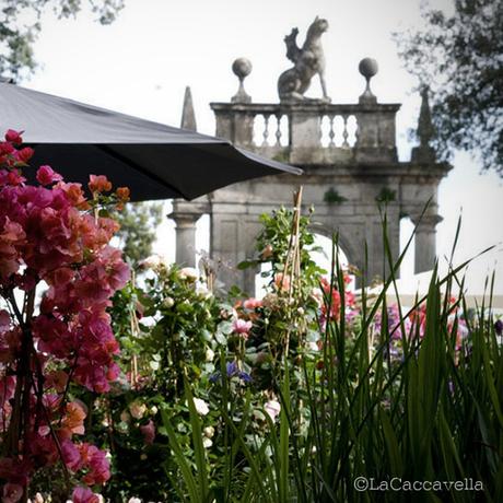 lacaccavella,Perugiaflowershow, perugia, flower, fiori, piante, plantes, garden, gardening, giardinaggio, green, verde