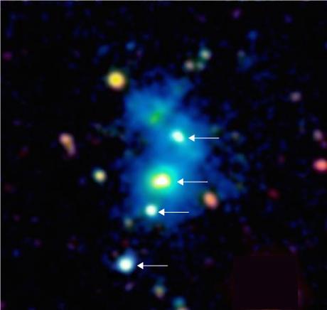 Immagine della regione dello spazio occupata dal quartetto di quasar. I quattro quasar sono indicati da frecce e sono immersi in una nebulosa gigante di gas denso e freddo visibile nell'immagine come una nebbiolina azzurra. La nebulosa ha un'estensione di un milione di anni luce, e questi oggetti sono così distanti da noi che la loro luce ha impiegato quasi 10 miliardi di anni per raggiungere i telescopi sulla Terra. Questa immagine a falsi colori si basa su osservazioni effettuate con il telescopio Keck da 10m sulla sommità del Mauna Kea nelle Hawaii. Crediti: Arrigoni-Battaia e Hennawi, MPIA