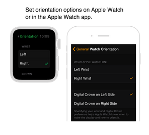 Apple Watch come impostare la lingua italiana e orientamento display