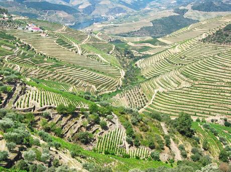 Lisbona, aperitivo transmontano