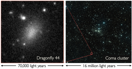 Una serie di “blob” non identificati erano stati scoperti nell’Ammasso della Chioma. Uno di questi misteriosi oggetti, Dragonfly 44, è stato studiato in dettaglio, confermando che si tratta di una galassia ultra diffusa. Crediti: Credit: P. van Dokkum, R. Abraham, J. Brodie