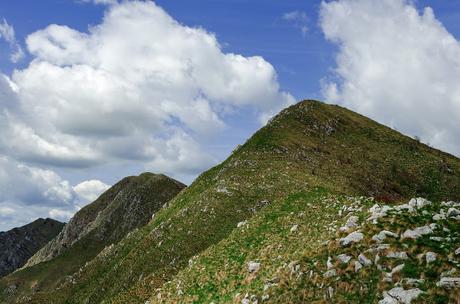 GRAN MONTE Sella Kriz