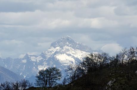 GRAN MONTE Sella Kriz