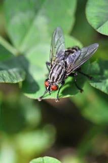 Rubrica: Scatti dal mondo