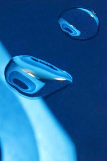 Rubrica: Scatti dal mondo