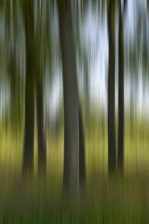 Rubrica: Scatti dal mondo