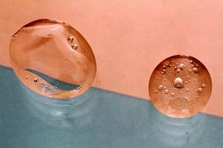 Rubrica: Scatti dal mondo