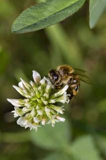 Rubrica: Scatti dal mondo