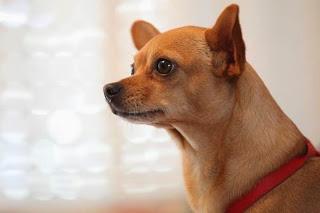 Rubrica: Scatti dal mondo