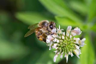 Rubrica: Scatti dal mondo