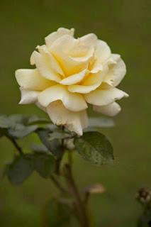 Rubrica: Scatti dal mondo