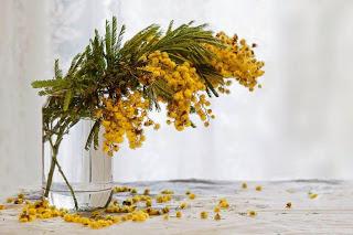 Rubrica: Scatti dal mondo