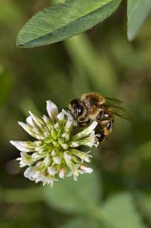 Rubrica: Scatti dal mondo