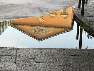 Immagini da una pozzanghera