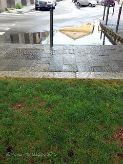 Immagini da una pozzanghera