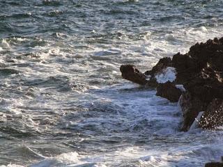 I Carabi del mare Ionio: da Torre Colimena a Marina di Ginosa