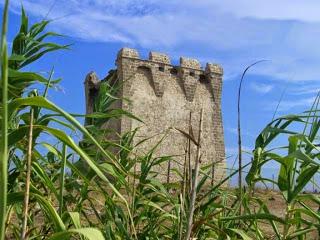 I Carabi del mare Ionio: da Torre Colimena a Marina di Ginosa