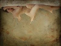 La Metamorfosi - Scene dal precariato lavorativo