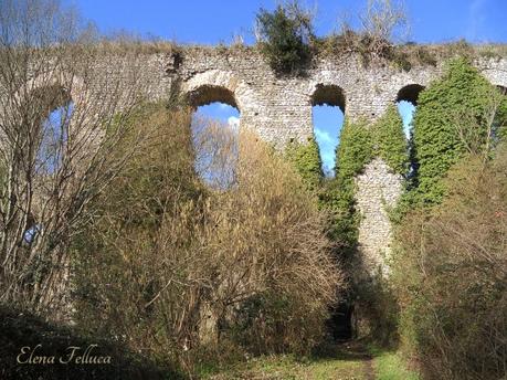 Nuovi studi sull’Acquedotto Odescalchi di Bracciano