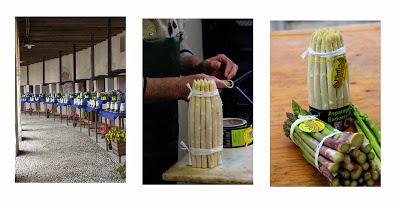 Tortelli di asparagi con briciole croccanti