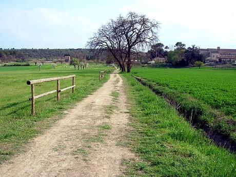 Cambio vita! Scambio casa e oggi sono un contadino felice