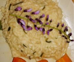 ricettevegan.org - risotto agli agretti