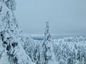 post Ospite: Fili d'Erba