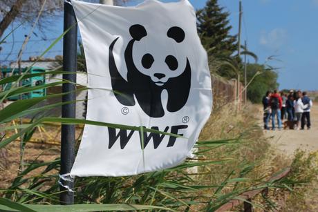 Giornata delle Oasi WWF 2015. Ecco gli appuntamenti in Campania