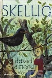 SEGNALAZIONI SPECIALI - OCCHIO AI ROMANZI PER RAGAZZI : SKELLIG DI DAVID ALMOND