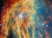 Medusa, vista incanta