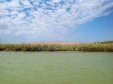 Le cinque acque di Bibione