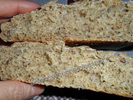 Focaccine al farro e grano saraceno