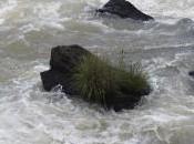 Contrappunto Miranda Gibilisco