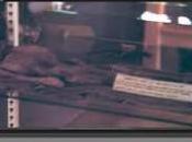caso delle “Roswell slides”: solo mummia