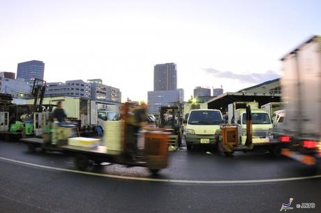 Il mercato del pesce di Tsukiji