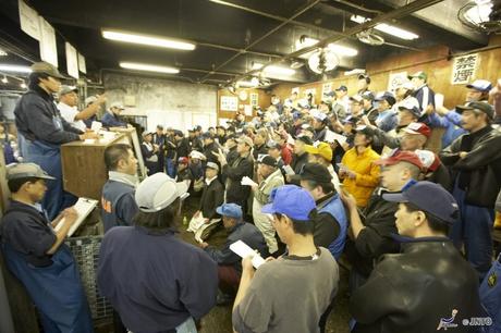 Il mercato del pesce di Tsukiji