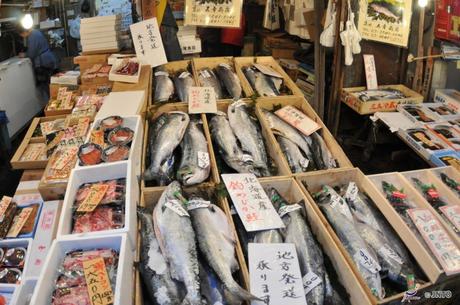 Il mercato del pesce di Tsukiji