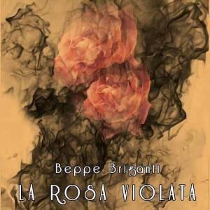 rosa violata copertina