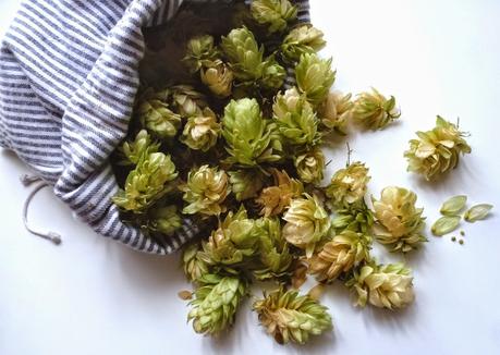 Tipologie di Cuscini da sonno: al luppolo, ai mille fiori, alle erbe aromatiche, risposante, aromatico