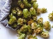 Tipologie Cuscini sonno: luppolo, mille fiori, alle erbe aromatiche, risposante, aromatico