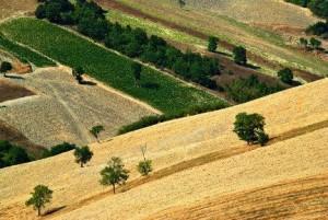 Alcide Pierantozzi – Tutte le strade portano a noi in viaggio
