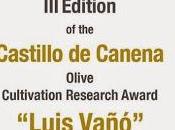 Call Entries" alla Edizione Luis Vañó Castillo Canena Olive Cultivation Research Award.