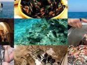 Taranto Terra mare delfini