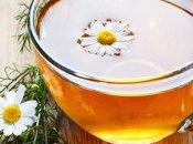 Camomilla, elisir lunga vita donne